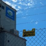 NZ's Fonterra upgrades dividend payout policy; shares hit over 3-year high