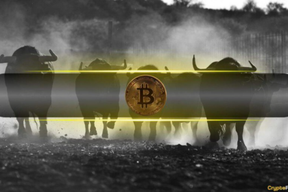 These Factors Suggest Bitcoin’s (BTC) Bull Run Is Just Getting Started: CQ