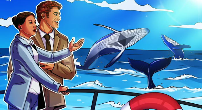 104 whale wallets now hold 57% of all Ether in bullish sign: Santiment